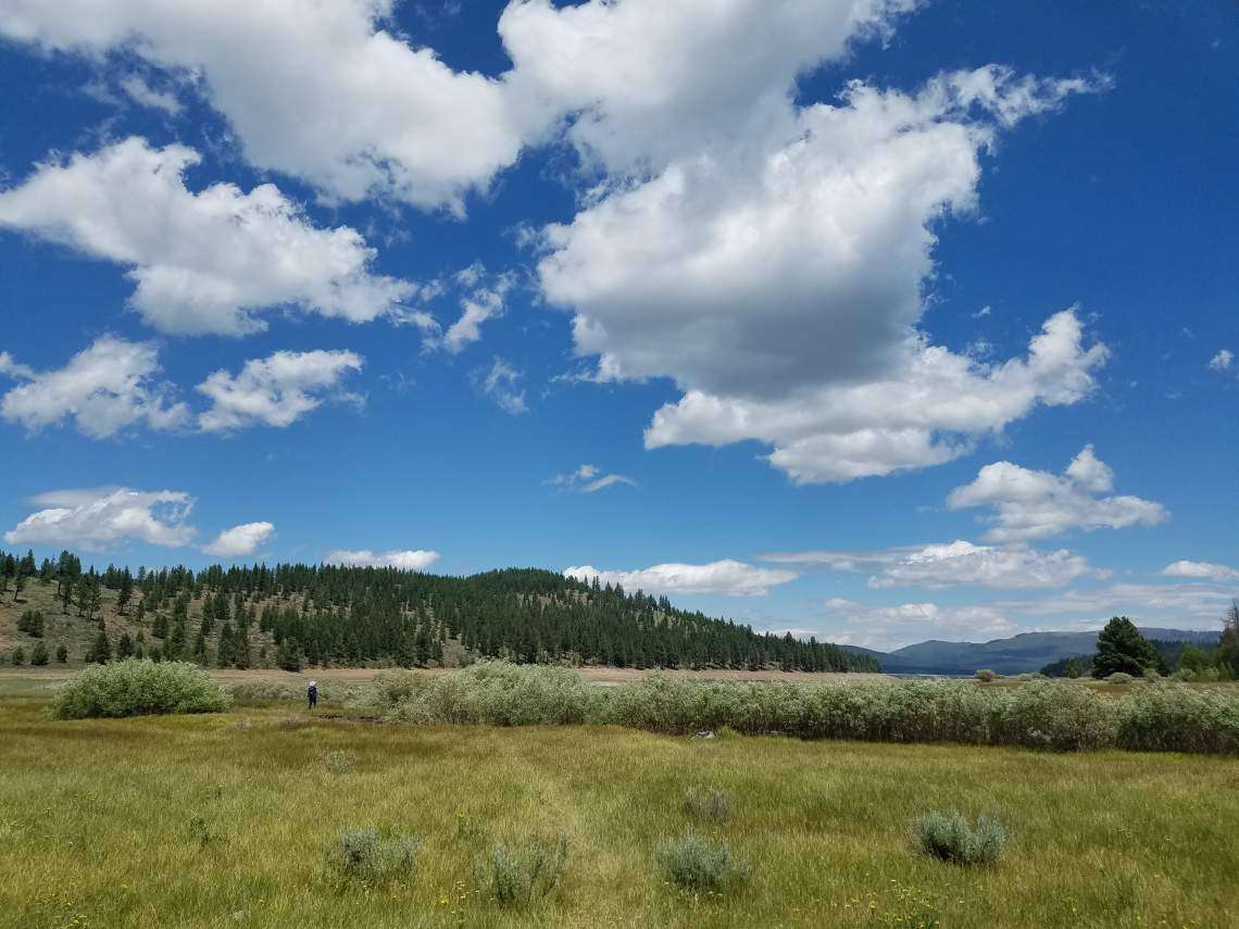 Juniper Hills and Juniper Creek