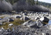 Truckee River Drought