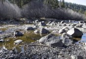 Truckee River Drought
