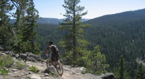 Cycling-in-North-Tahoe