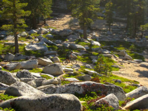 Mountain Biking